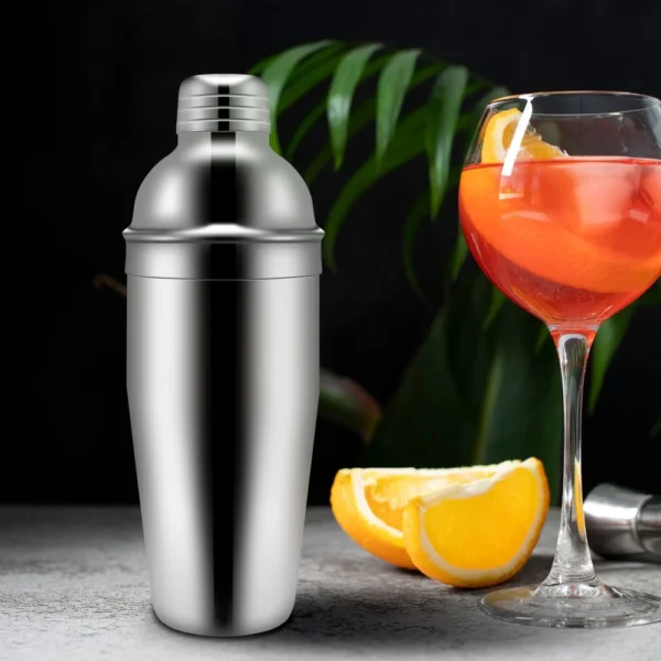 wholesale cocktail shaker set (5)